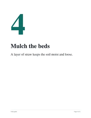Page 4: Mulch the beds